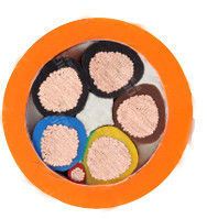 UL62 Certified EV Charging Cable with Low Temperature Resistance (-40ºC) and Rated Temperature 80ºC~105ºC